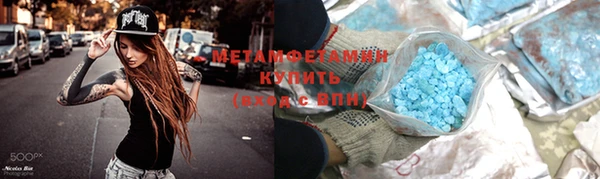 шишки Осинники