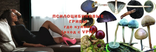 гидра Армянск