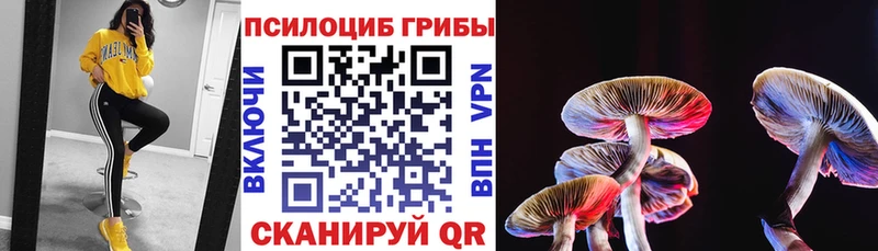 Псилоцибиновые грибы GOLDEN TEACHER  Сегежа 